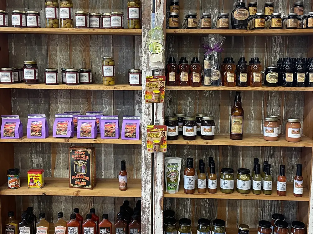 wallaces gallery image